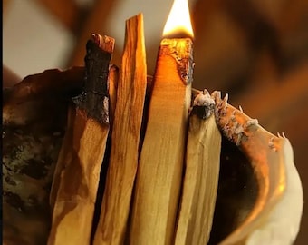 palo santo holy wood smudge