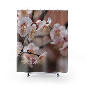 Shower Curtains