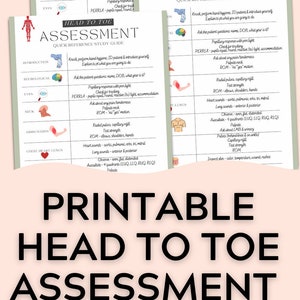 Nursing Student Head to Toe Assessment Printable Study Guide | Nursing School Digitals | Quick Reference Study Guide for Nursing School