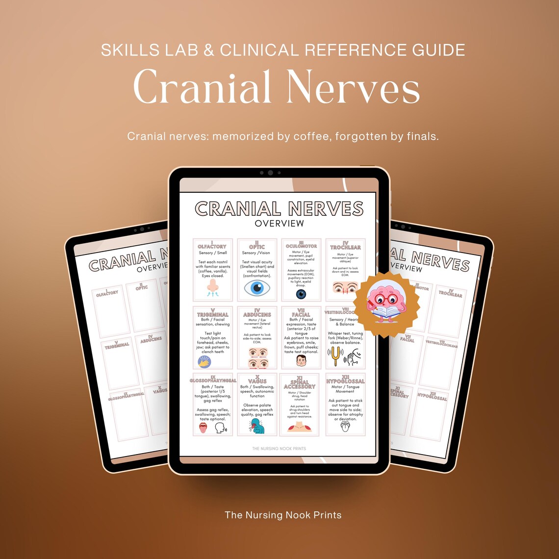 Nursing Cranial Nerves Printable | Study Guide for Students | 2 JPG ...