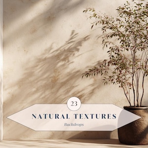 Peut inclure: Une plante décorative dans un pot marron foncé est placée devant un mur beige texturé. Le mur est éclairé par la lumière du soleil, projetant des ombres. L'image comprend une bannière blanche et bleu marine avec le texte "NATURAL TEXTURES Backdrops".