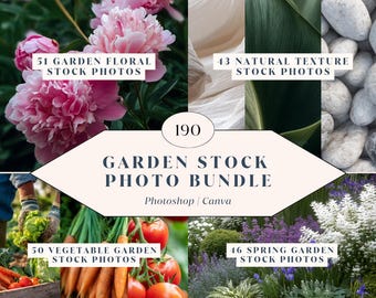 190 Garden Stock Photo Bundle – High-Resolution Images for Branding, Social Media, and Website Content