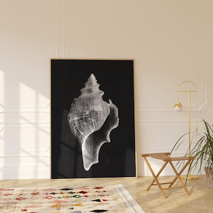 May include: A framed monochrome print of a conch shell, set against a black backdrop. The shell's delicate details and spiral shape are clearly visible. The artwork is displayed in a room with a rug and a floor lamp.