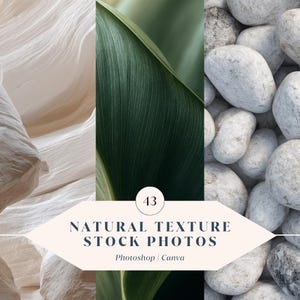 43 stockbilder med naturlig textur – Högupplösta bilder av natur och organisk textur för varumärkesbyggande, sociala medier och webbplatsinnehåll