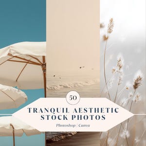 50 Tranquil Aesthetic Stock Photos – High-Resolution Neutral Nature Images for Branding, Social Media, and Website Content