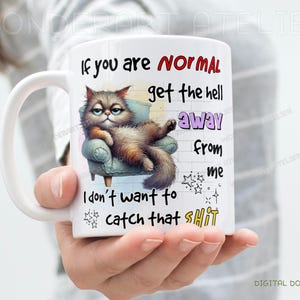 May include: White ceramic mug featuring a grumpy cat illustration lounging on a small armchair. The mug has text that reads "If you are NORMAL get the hell away from me. I don't want to catch that SHIT."