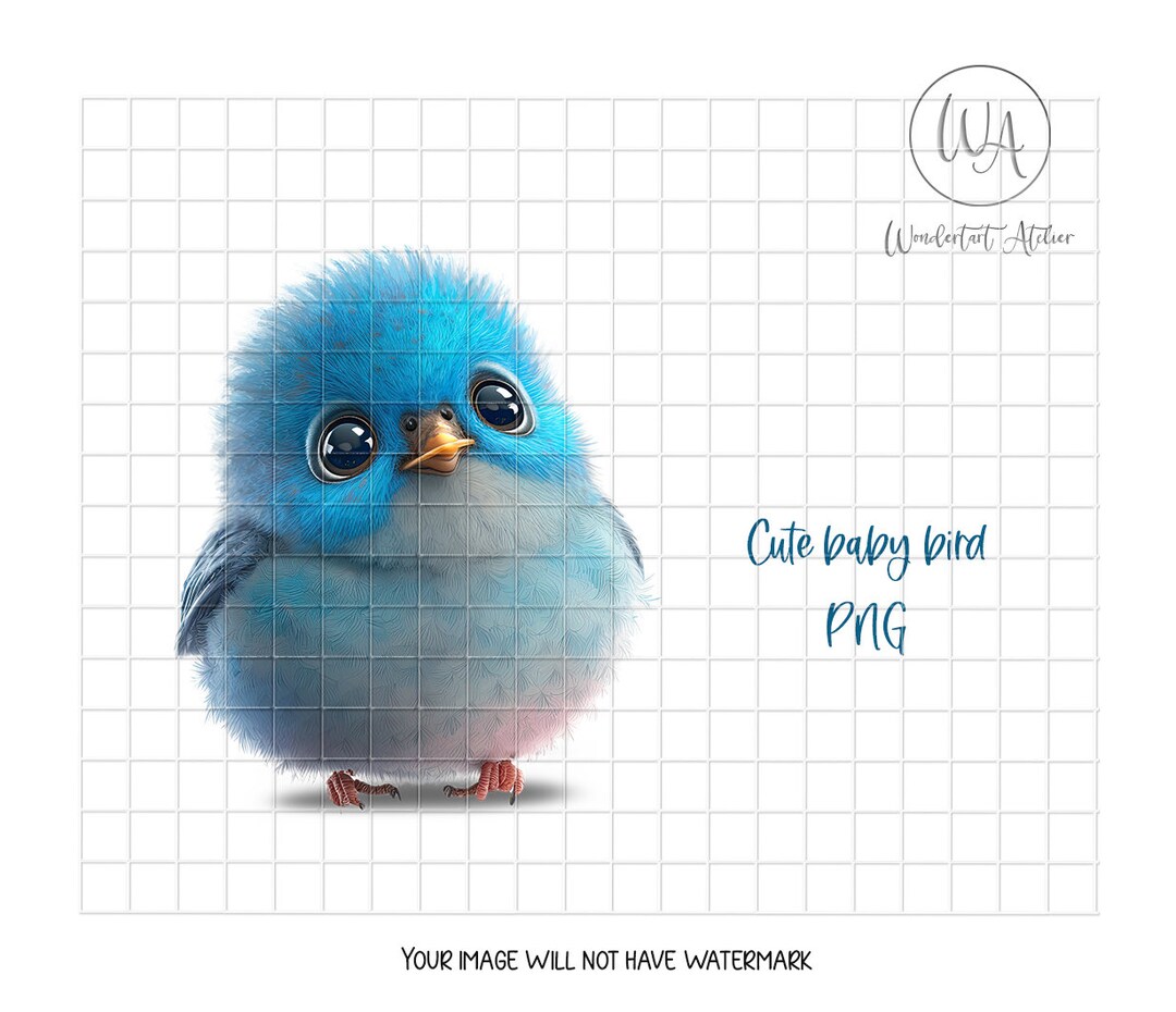 Cute Baby Bird Clipart PNG. Blue Bird. Instant Download. Etsy