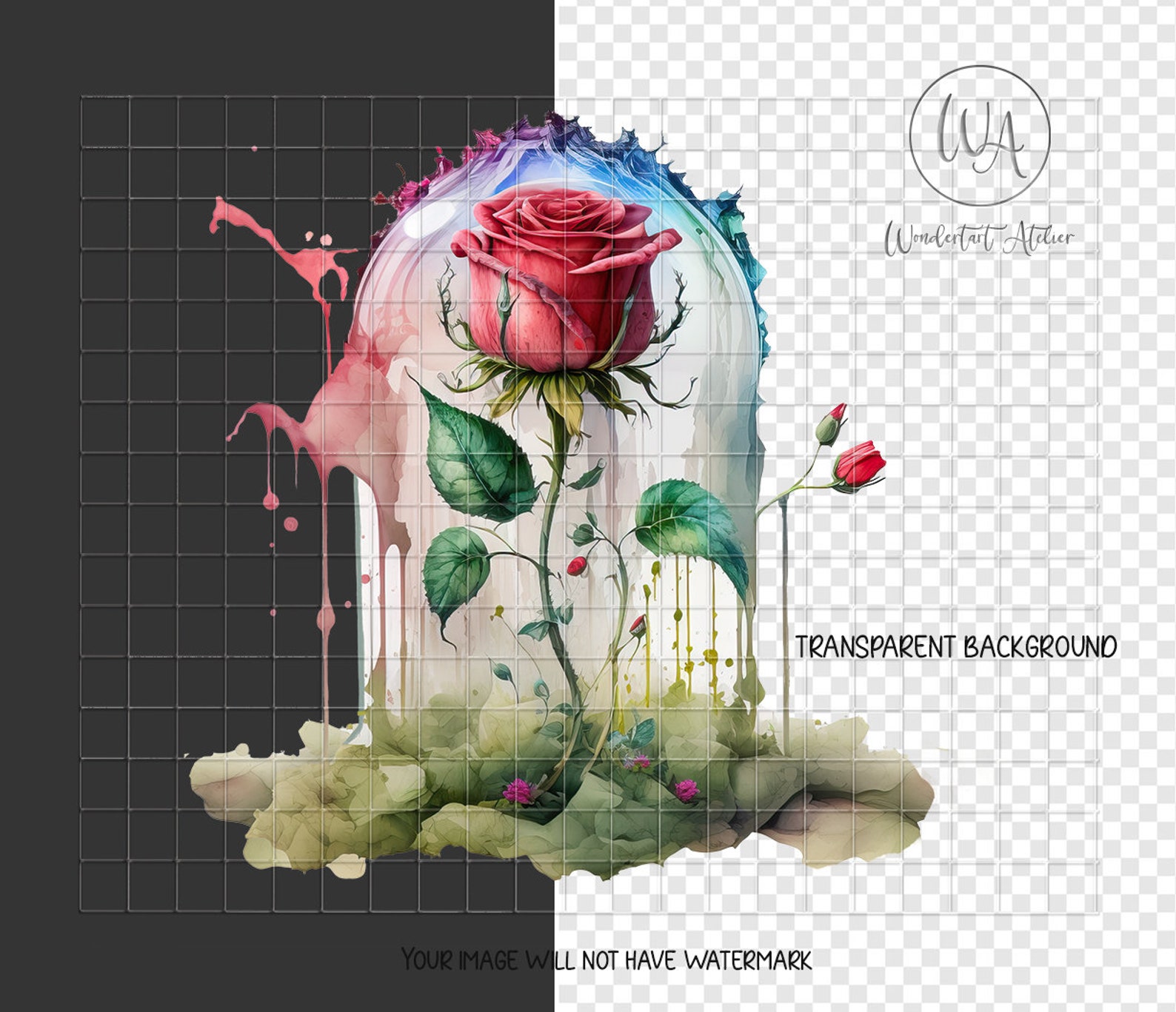 Watercolor Enchanted Rose Clipart PNG. Instant Download. Etsy