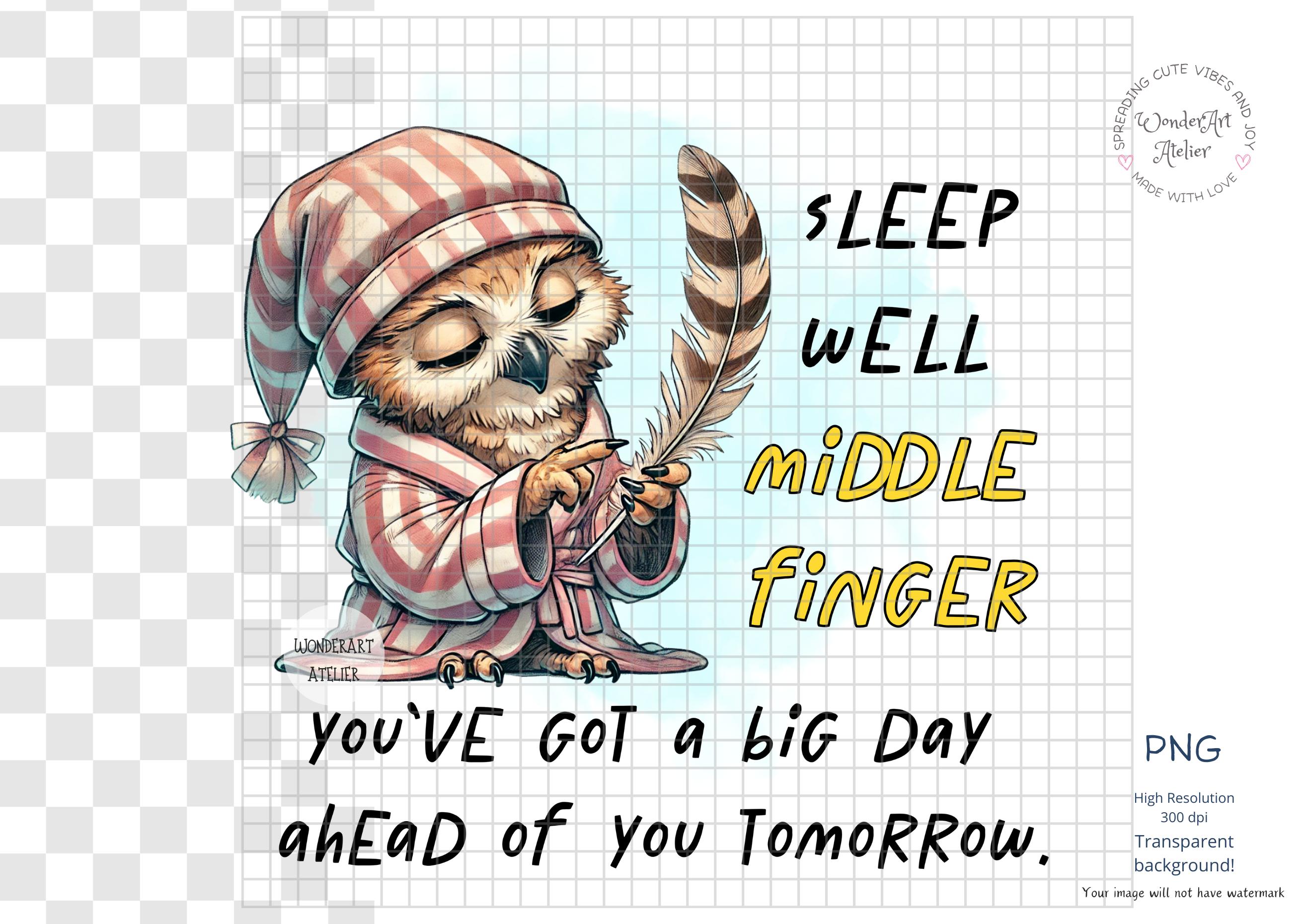 Funny Owl Sublimation Design Sleep Quote, Digital Download