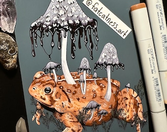 Toad with mushrooms art print