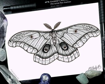 Polyphemus Moth art print