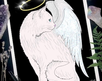 Angel cat