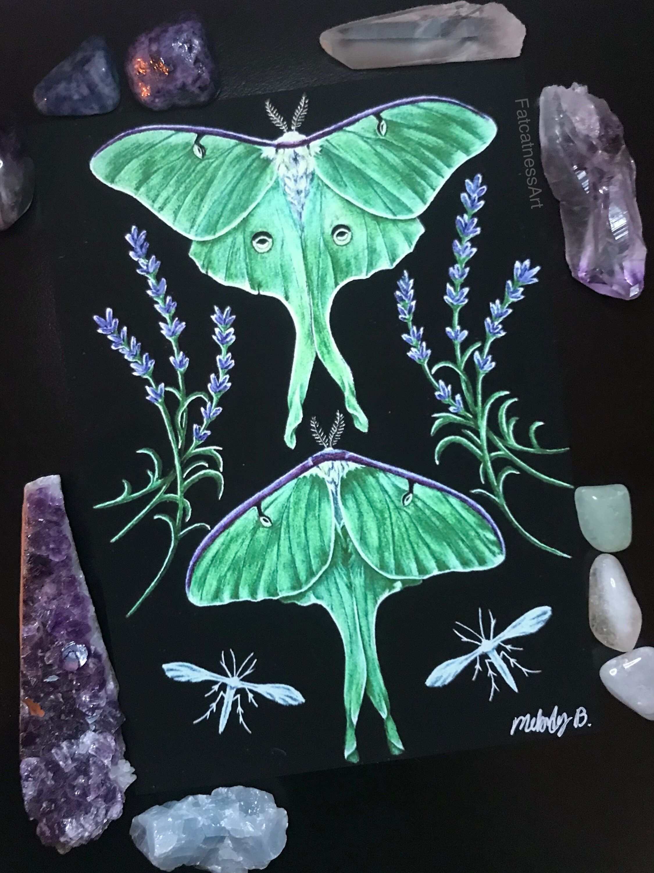 ダイヤモンドアートクラブ Luna Moth Witch Luna Moth Witch – Diamond Art Club