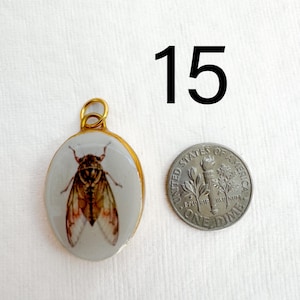 May include: Oval pendant with a gold-colored frame, featuring a detailed insect illustration on a white background. A dime is next to the pendant for size comparison. The number "15" is printed in black.