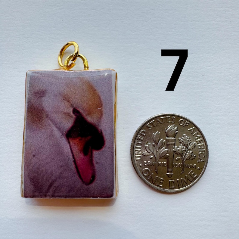 May include: A rectangular pendant with a gold-colored border features a close-up of a swan's head. The swan's beak is a vibrant pink, and the pendant is next to a United States dime coin for size comparison.