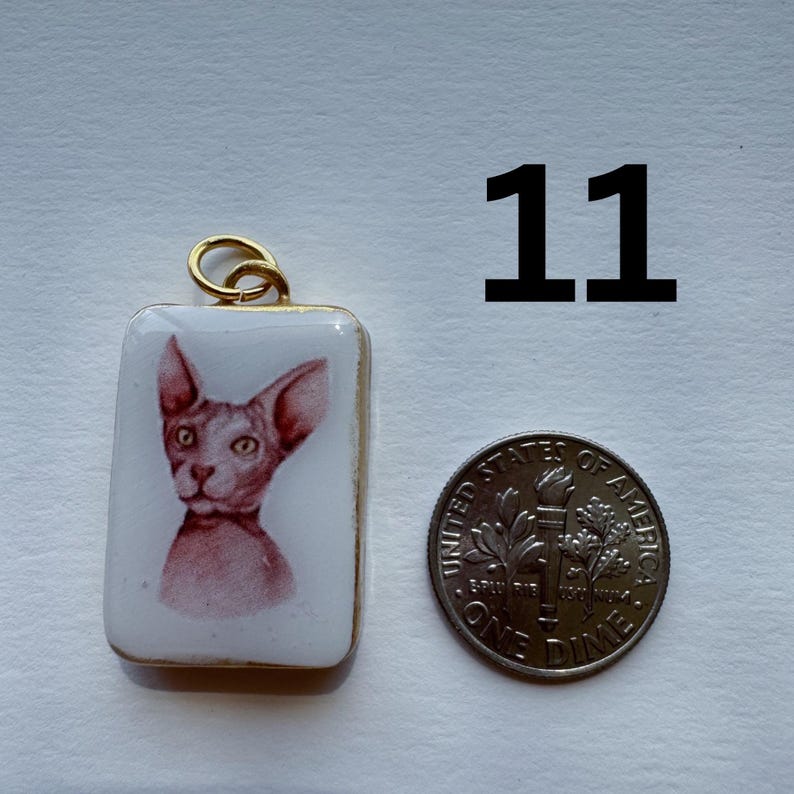 May include: A rectangular pendant with a gold-colored bail features a portrait of a hairless cat in shades of pink and red. The pendant is next to a United States dime coin and the number 11.