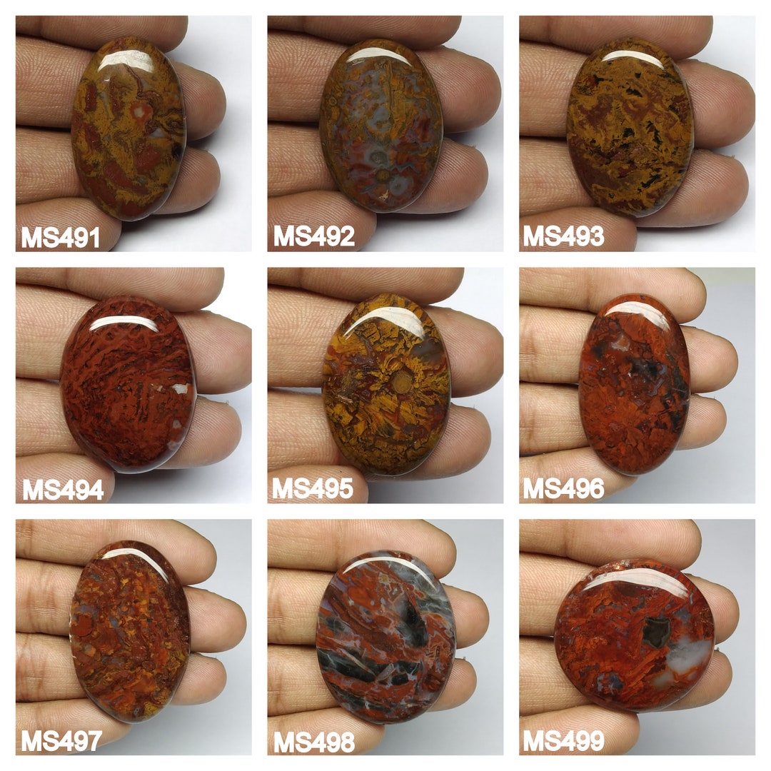 Wonderful Red Palm Wood Mix Shape Loose Gemstone Natural Red Etsy