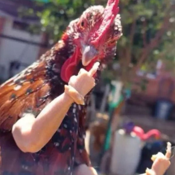 Brazos de Pollo para gallinas con actitud - Grosero, Dando el Dedo, Dedo Medio - Impreso en 3D