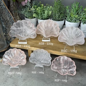 Aphrodite Rose Quartz Shell Trays