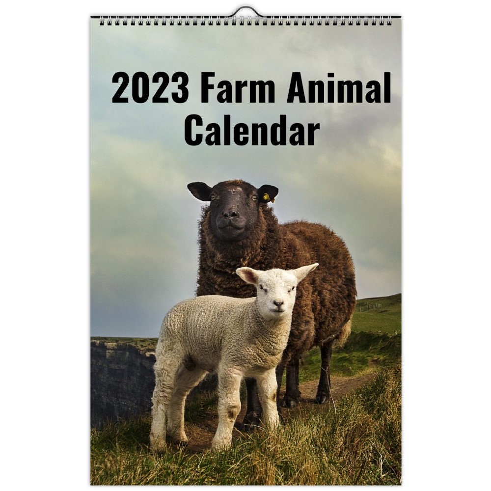 Horse Horsey Mouth Calendar 2023 Monthly Wall Hanging Calendars Funny Gag Farm Animal Pony Large Planner Horse Horsey Mouth Calendar 2023 Monthly Wall Hanging Calendars Funny Gag Farm Animal Pony Large Planner