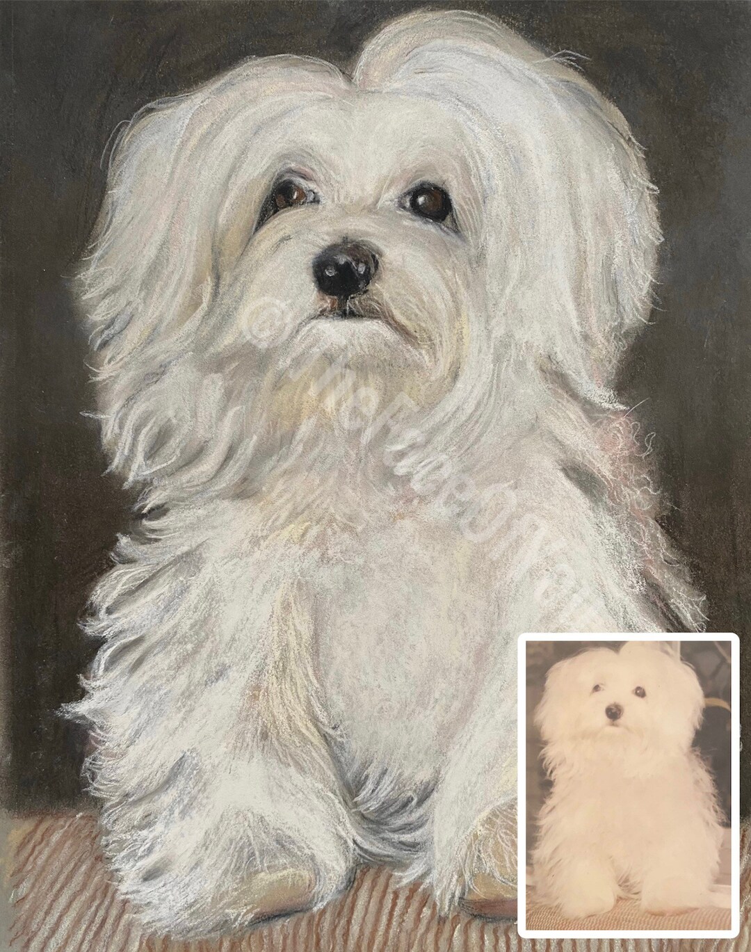Custom Pet Portrait Authentic Personalized Hand Drawn Pet Portraits ...