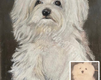 Custom Pet Portrait Authentic personalized  hand drawn pet portraits, dog portrait, hand painted by the artist Shagoftah, TheFaceOfYou