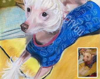 Ritratto di cane, ritratto di animale domestico personalizzato Autentici ritratti di animali domestici disegnati a mano personalizzati realizzati dall'artista Shagoftah, ottimo regalo per gli amanti degli animali domestici