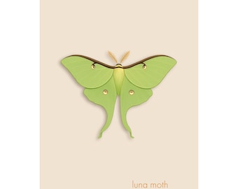 Luna Moth – Giclée Print – Minimalist Nature Wall Art