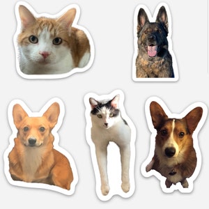 THE animal kingdomm Stickers!