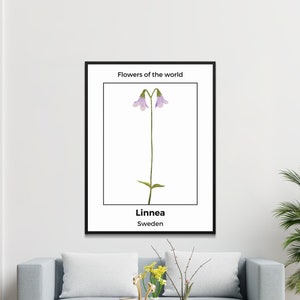 Linnea - Sweden Flower Poster Print - Digital Download, Wall Art, Home Decor, Nature Collection