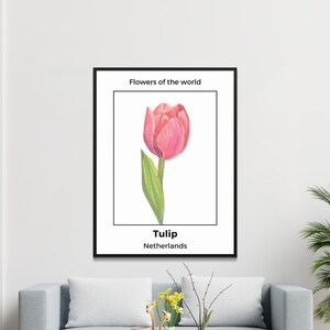 Tulip - Netherlands Flower Poster Print - Digital Download, Wall Art, Home Decor, Nature Collection