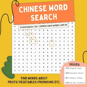 Chinese Hanzi Word Search: Engaging Printable Worksheets with Pinyin & English Translations - 10 Pages 111 Common Words