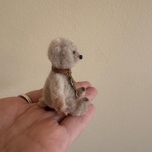 Pu&ograve; includere: Un piccolo orsacchiotto di peluche beige con un collare di cuoio marrone e un ciondolo di metallo. L'orsacchiotto &egrave; seduto su una mano.