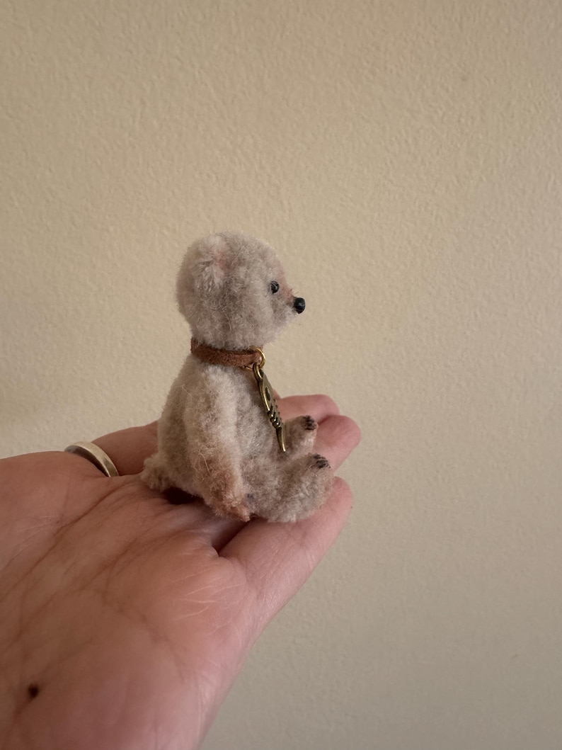 Pu&ograve; includere: Un piccolo orsacchiotto di peluche beige con un collare di cuoio marrone e un ciondolo di metallo. L'orsacchiotto &egrave; seduto su una mano.