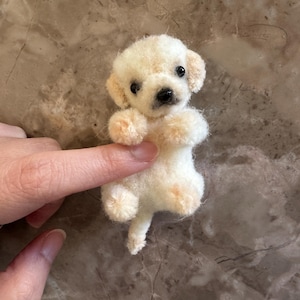 Può includere: Una piccola statuina di cucciolo in feltro color crema con occhi neri e naso nero. Il cucciolo ha zampe e orecchie color pesca chiaro. La statuina è tenuta da un dito.