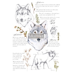 Redesign With Prima/ Gray Wolf Redesign Decor Transfers (total sheet size 24″X35″, cut into 3 sheets)