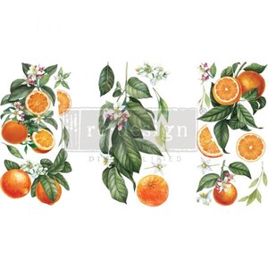 Redesign With Prima/ Citrus Slice Decor Transfers (3 sheets) (6&quot;x12&quot;)