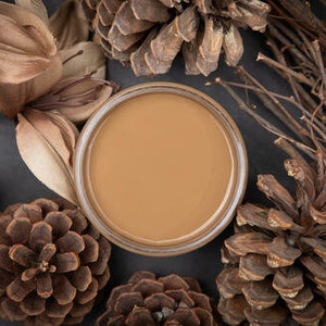 Chalk Mineral Paint | Dixie Belle | Pine Cone