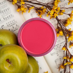 Chalk Mineral Paint | Dixie Belle | Peony
