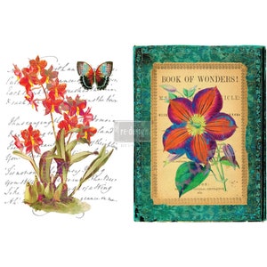 Redesign With Prima/ Wondrous Flora Redesign Decor Transfers 22&quot;x32&quot;