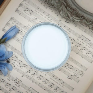 Chalk Mineral Paint | Dixie Belle | Haint Blue