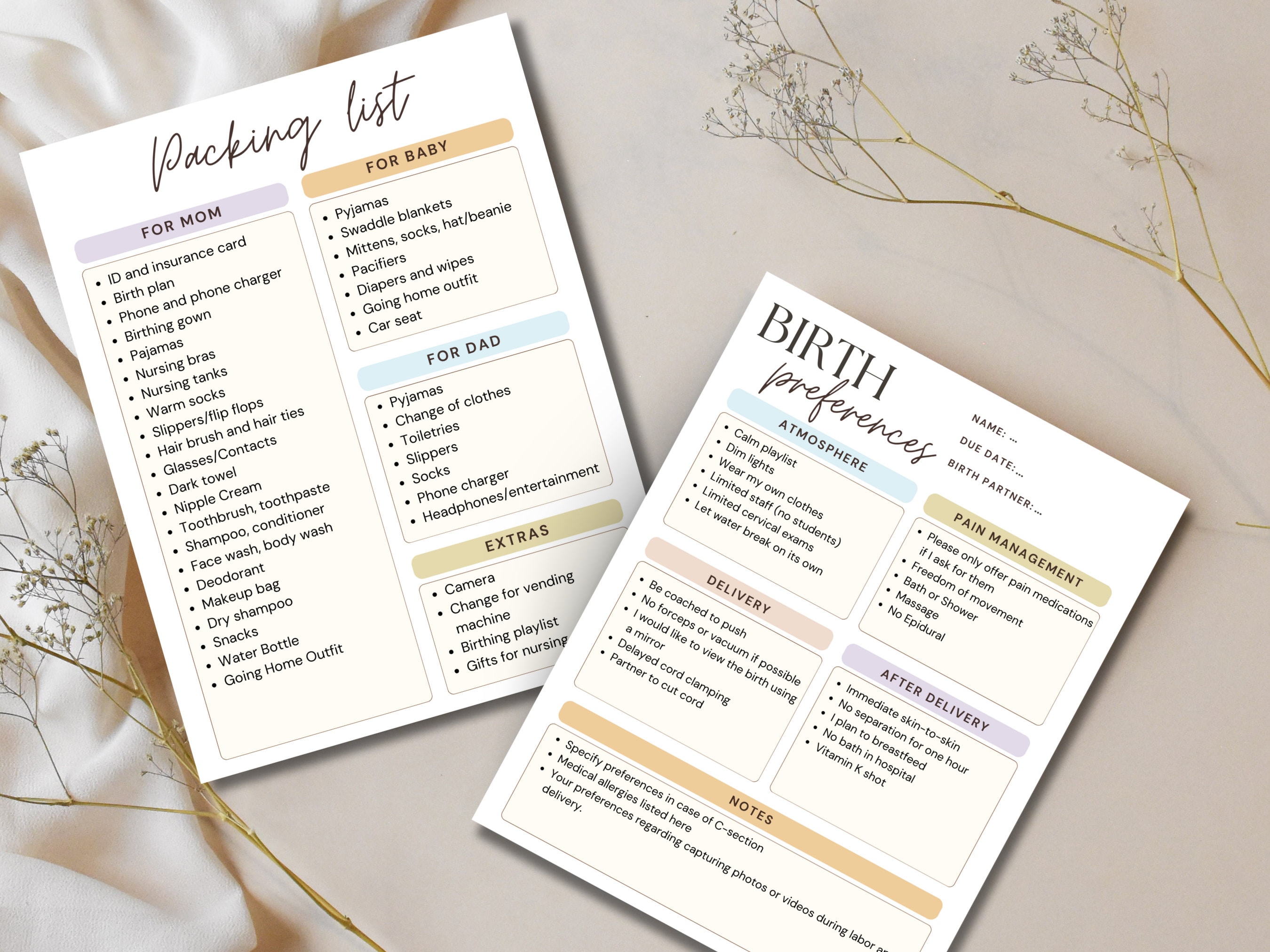 Hospital Birth Plan Example Template