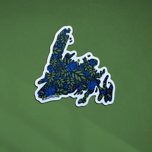 Autocollants en forme de bleuets colorés Terre-Neuve