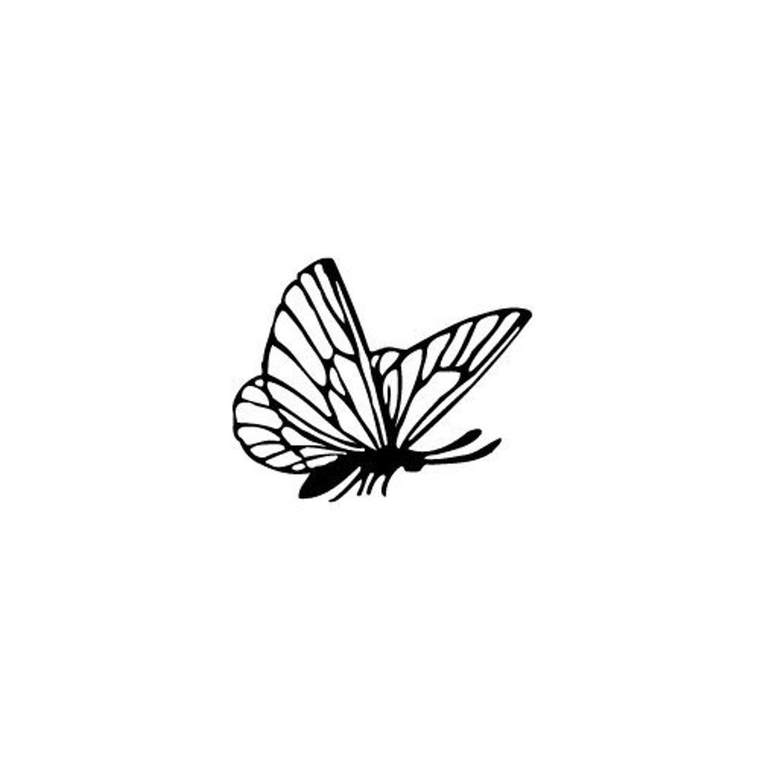 Butterfly Outline SVG and PNG File Digital Download // Butterflies, SVG