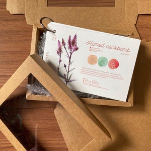 Daily Flower KALENDERSET - 1-Monats-Broschüre in Postkartengröße