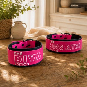 Può includere: Due collari circolari con esterno rosa brillante e interno nero. Un collare presenta la scritta bianca THE DIVA EDITION, mentre l'altro mostra THE BOSS BITCH EDITION. Entrambi i collari hanno chiusure a pressione e componenti in metallo nero.