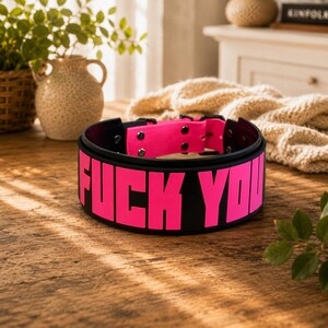 Op de afbeelding: Een zwarte halsband met de tekst FUCK YOU in dikke, felroze letters. De binnenkant van de halsband is gevoerd met een levendig roze materiaal en is voorzien van zwarte hardware met zilverkleurige metalen klinknagels die de band vastzetten.