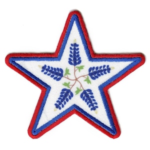 May include: A red and blue embroidered star with a white center featuring a blue flower design. The flower design is a stylized representation of the Texas state flower, the bluebonnet.