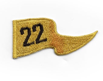 Houston Baseball 2022 Champs Pennant Patch Space City Texas Embroidered Iron On CG8