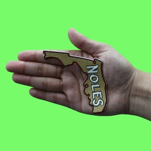 May include: A tan and maroon embroidered patch in the shape of the state of Florida, with the word "NOLES" stitched vertically. The patch is held in a person's hand against a green background.